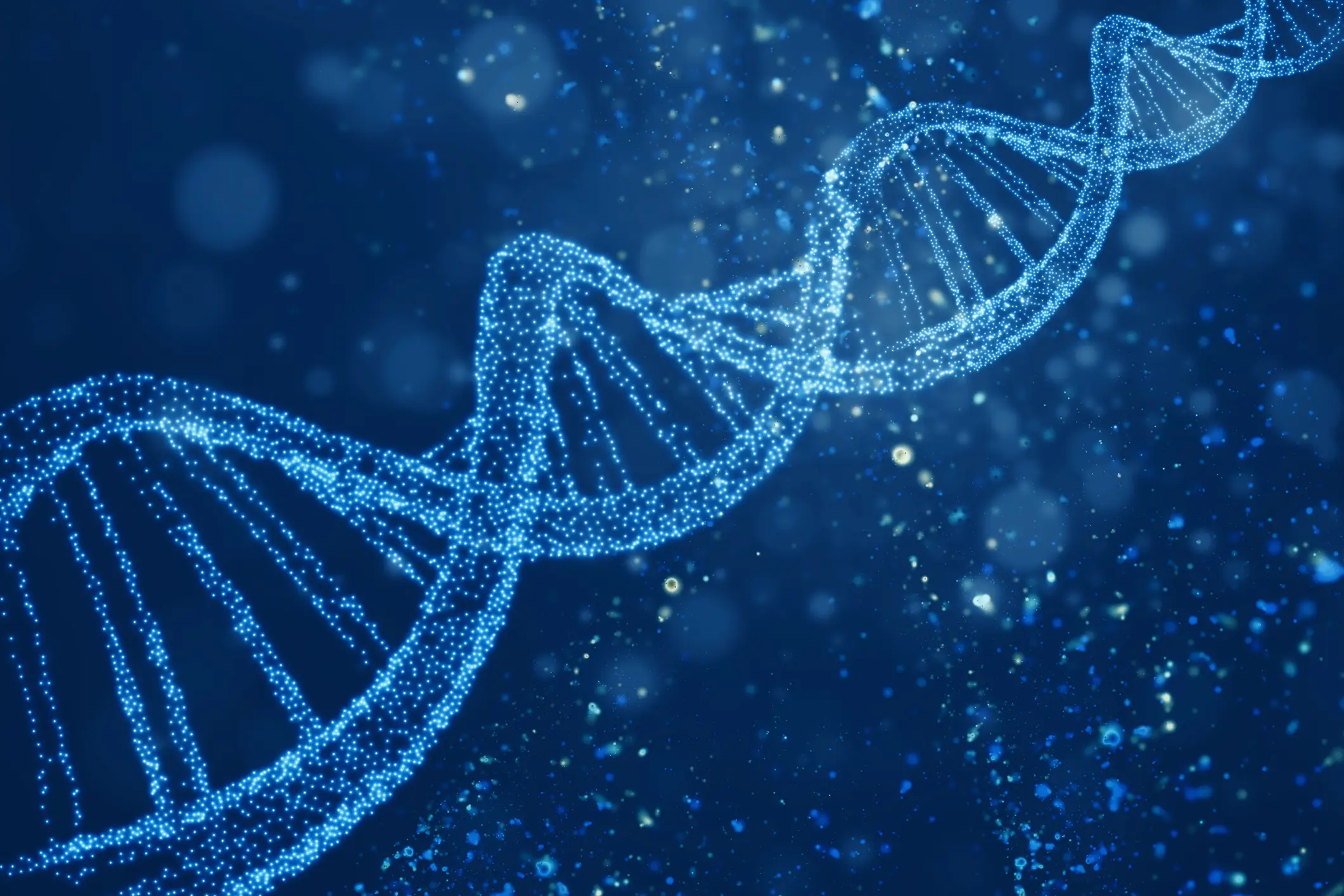 The extracted DNA was used to produce 44 newly sequenced Nama genomes (bymuratdeniz/Getty)