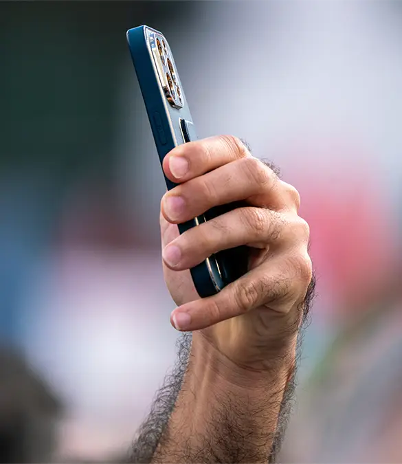 Jasmin Merdan/ Getty