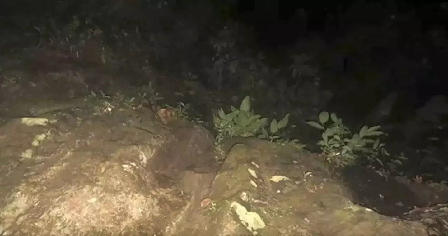 Several of the pictures had been taken at night (TVN2)