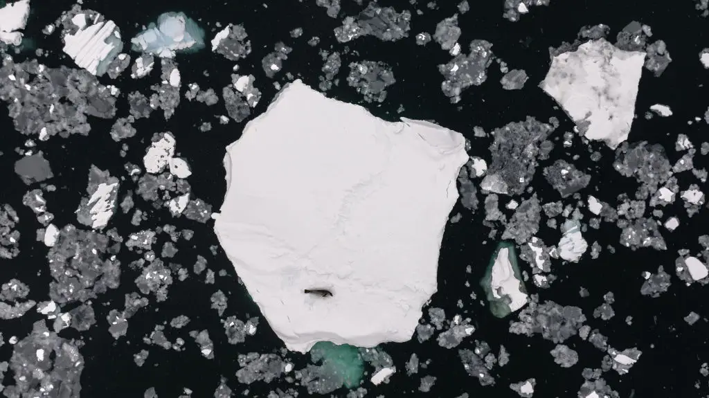 Anadolu / Contributor / Getty