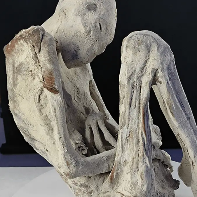 @joismantilla/Tridactyls.org