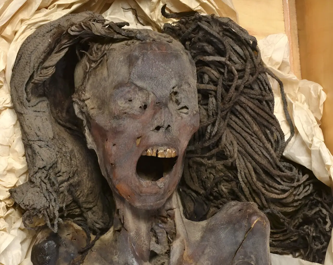 The screaming mummy is 3,500 years old (Sahar Saleem)