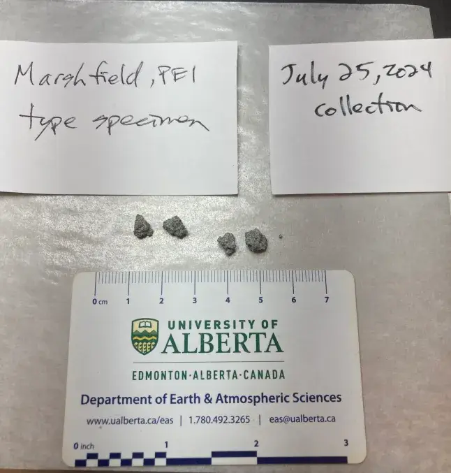Pieces of the meteorite were sent off to be identified (University of Alberta Meteorite Collection)