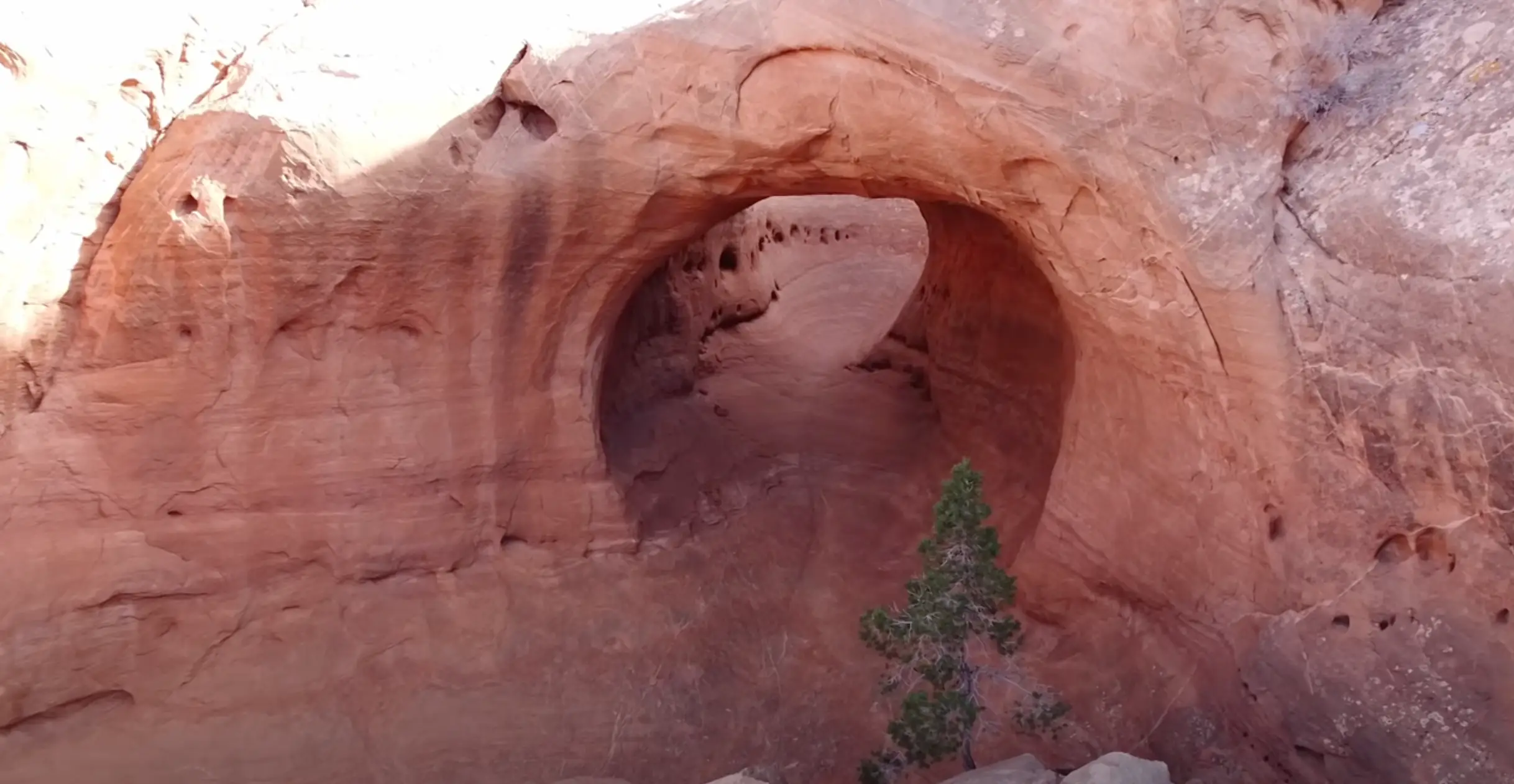He was shocked to discover a smooth 25-foot-long tunnel (thePOVchannel/YouTube)