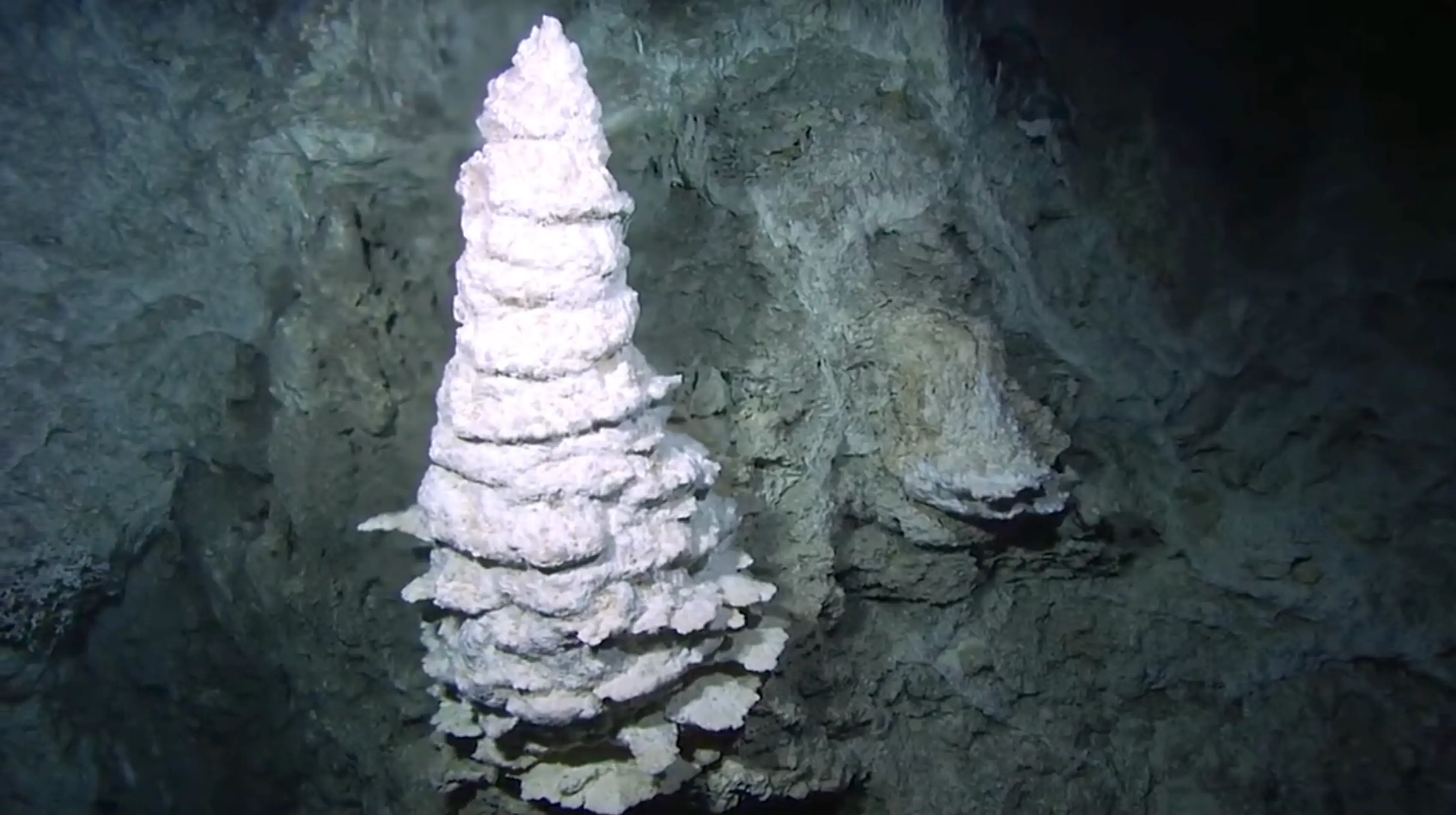 Some of the incredible structures are 200 feet tall (RebeccaRHelm/X)