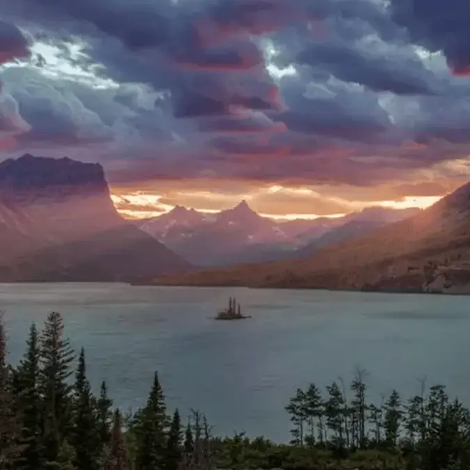 How innocent photo of Montana ended up breaking millions of Android phones worldwide