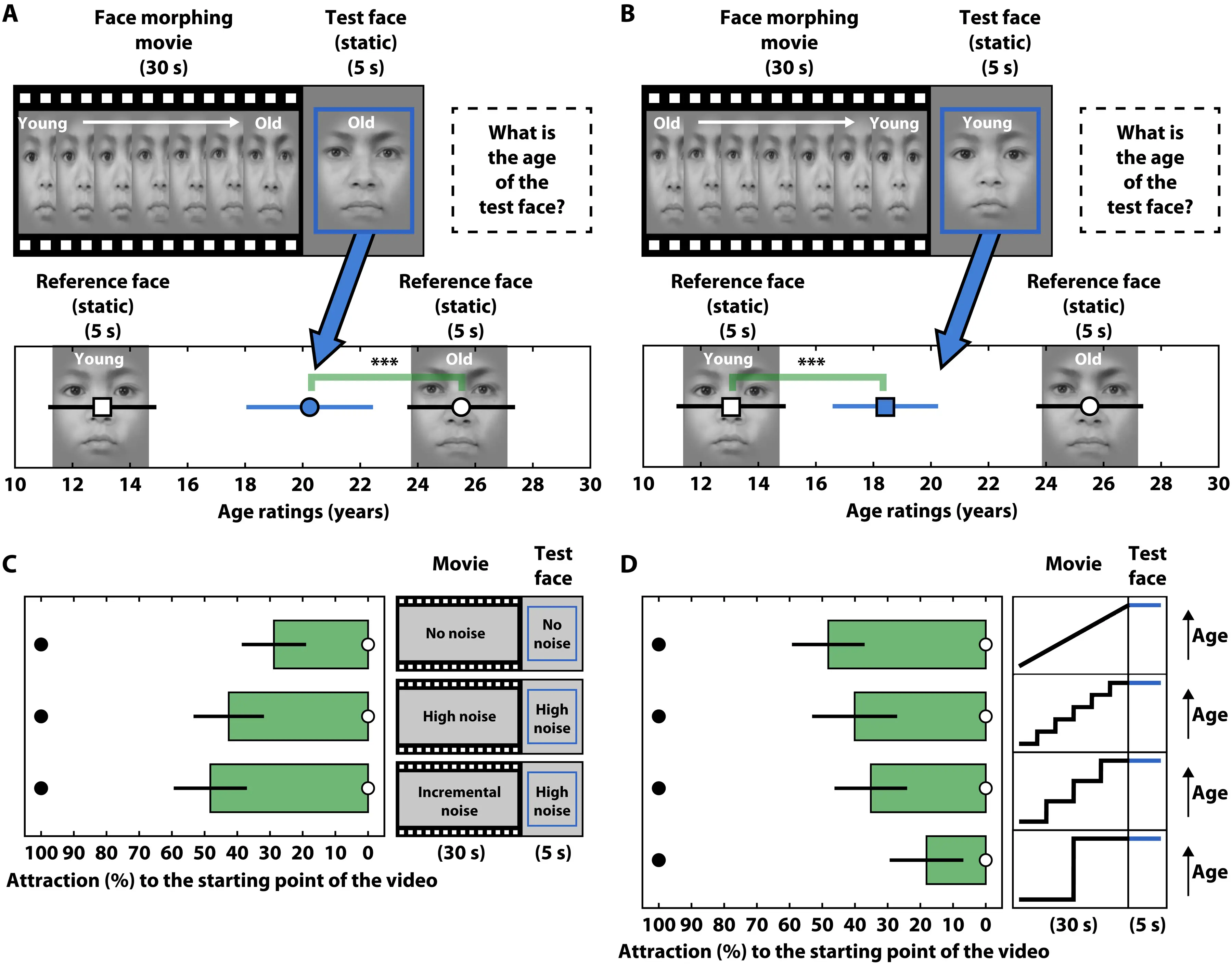 The study conducted experiments which show how our brain merges past images, tricking our eyes into retaining stability (Anthony Cerniello)