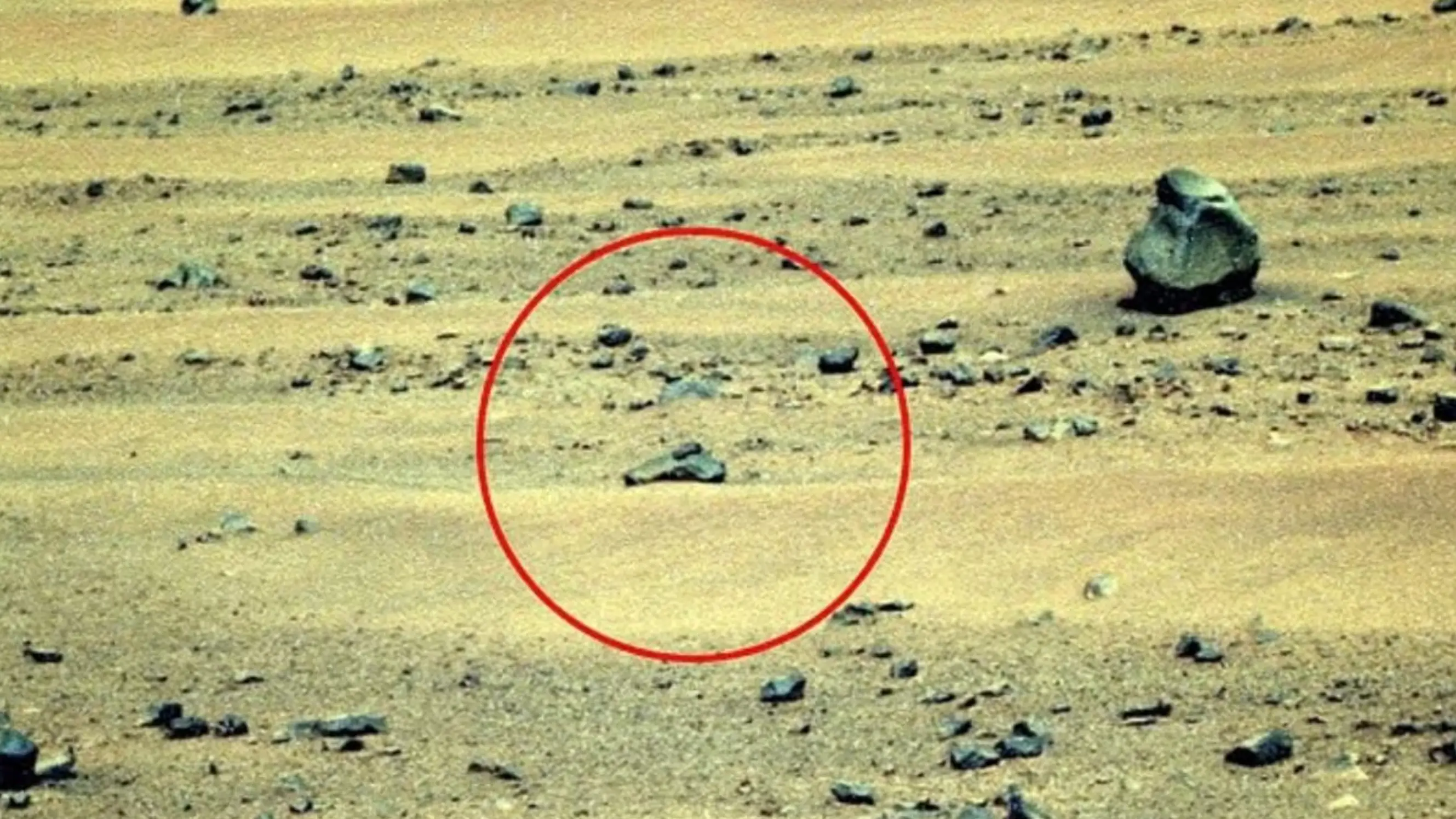NASA