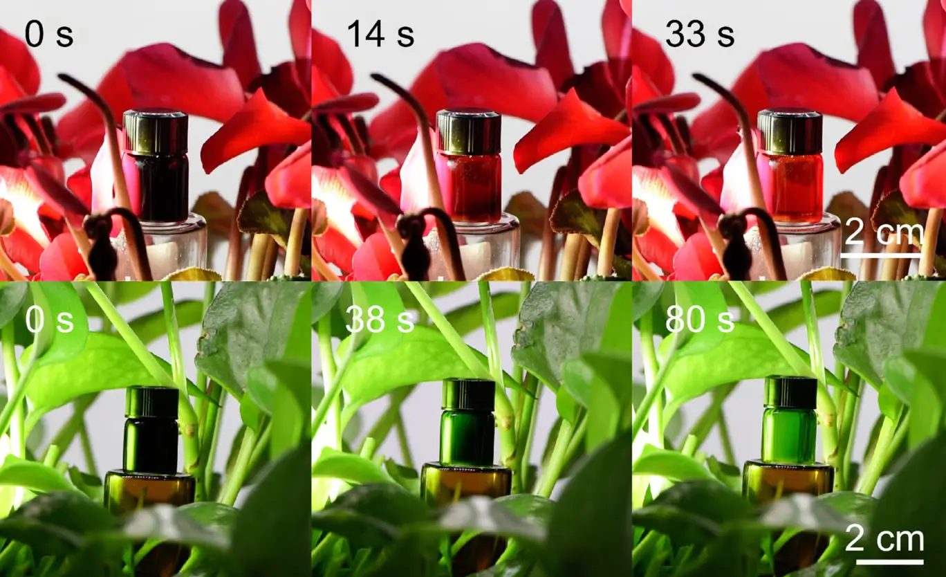 Tests showed SAP's ability to change color and blend in (Science Advances/Dongsheng Wang)