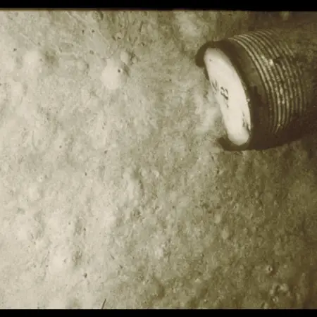 Scientists are concerned that radioactive materials could leak into sea life, which would then make its way to humans (Ifremer / Epaulard)