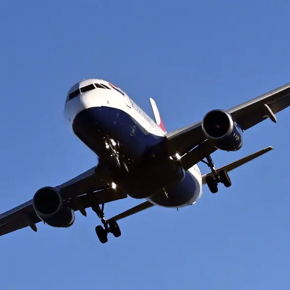 Passengers furious after 'graphic' X-rated movie played on every screen during flight and was 'impossible to turn off'