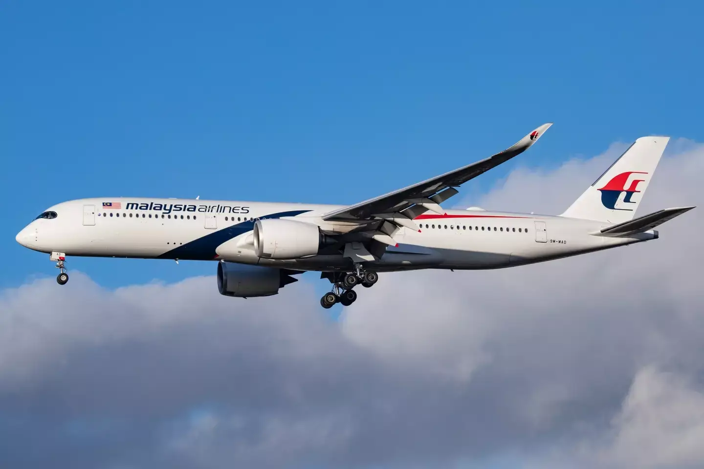 There have been many theories surrounding the mystery (Nicolas Economou/NurPhoto via Getty Images)