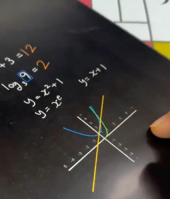 u/TheMillieDWay / Reddit