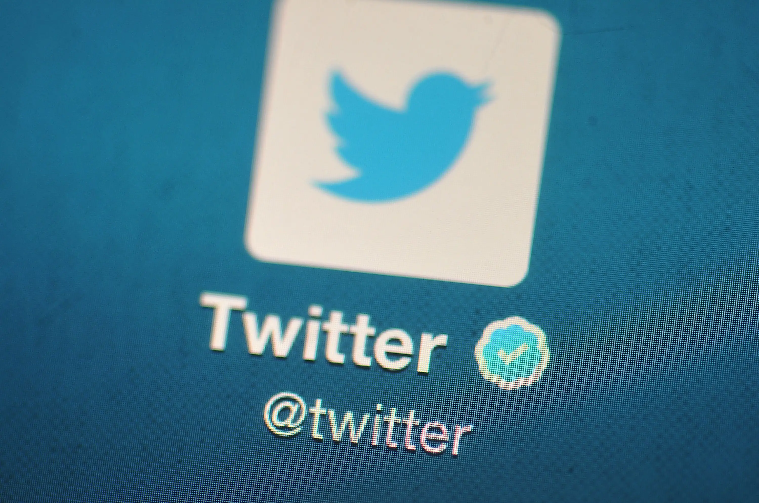Twitter was asked to explain what steps it was taking to combat the spread of child exploitation material online (Bethany Clarke/Getty Images)