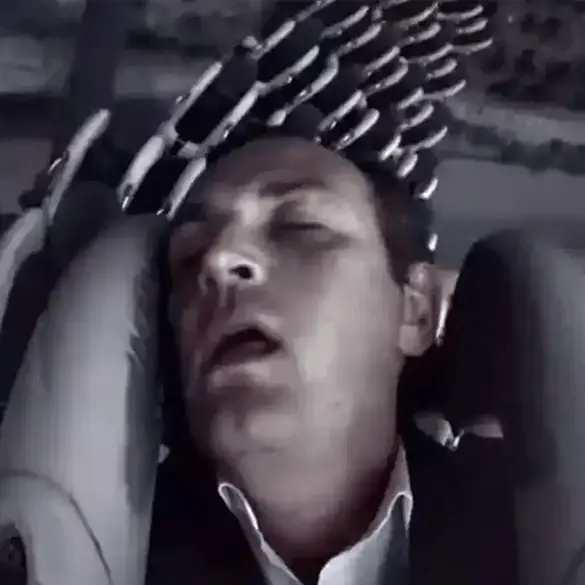 TikTok/@ridesnslides