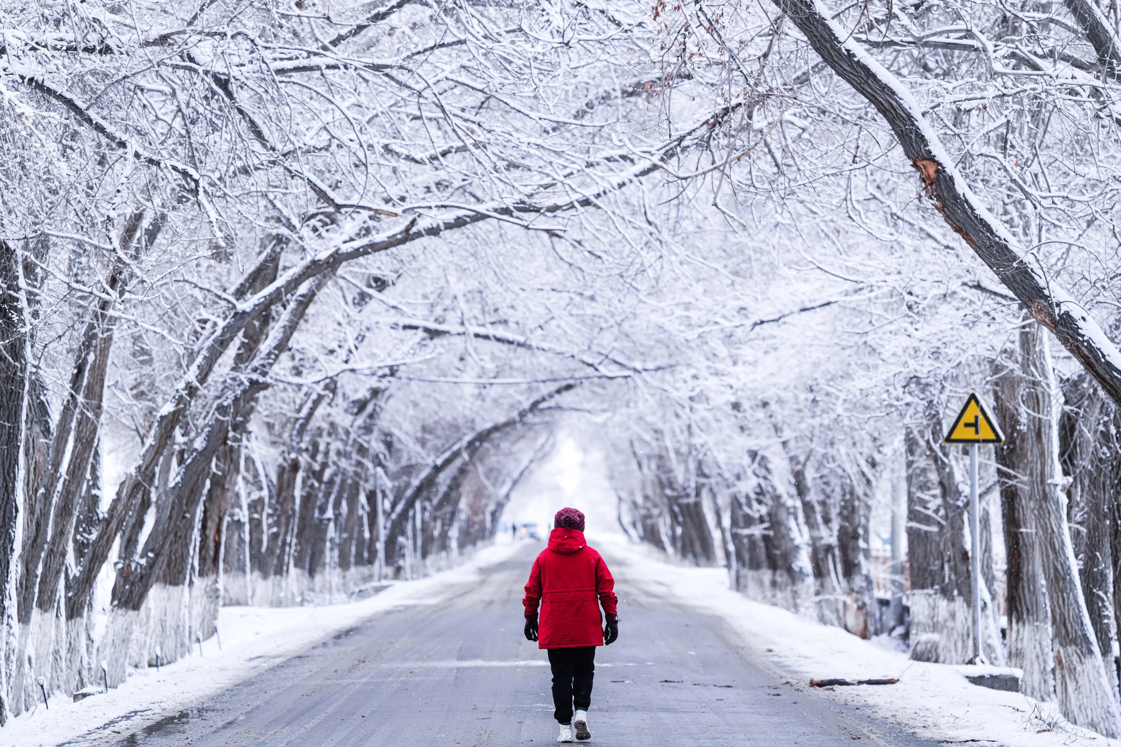 Holidays are coming (VCG / Contributor / Getty)