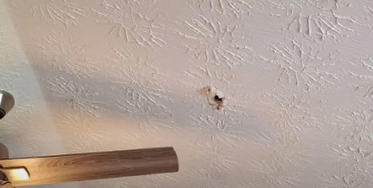 The meteorite is said to be older than Earth itself (University of Georgia / Submitted)