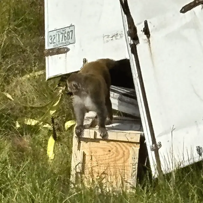 Jasper County Sheriff's Department, Mississippi