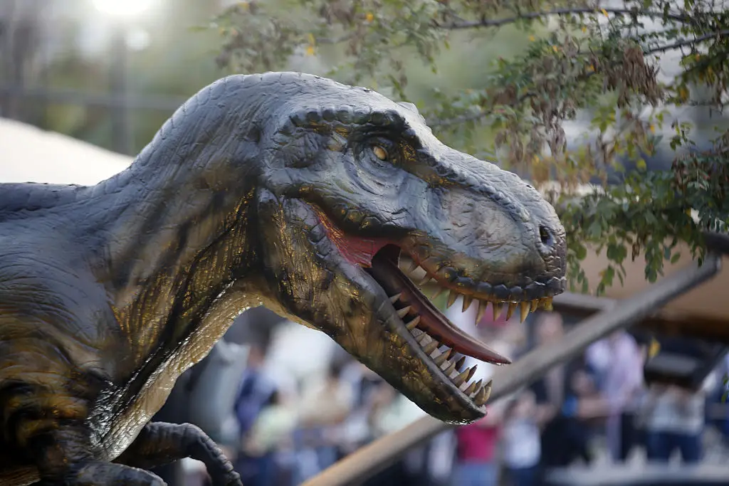 Elon Musk has provided an update for people wishing that he'd create a real-life Jurassic Park (Fatemeh Bahrami/Anadolu via Getty Images)