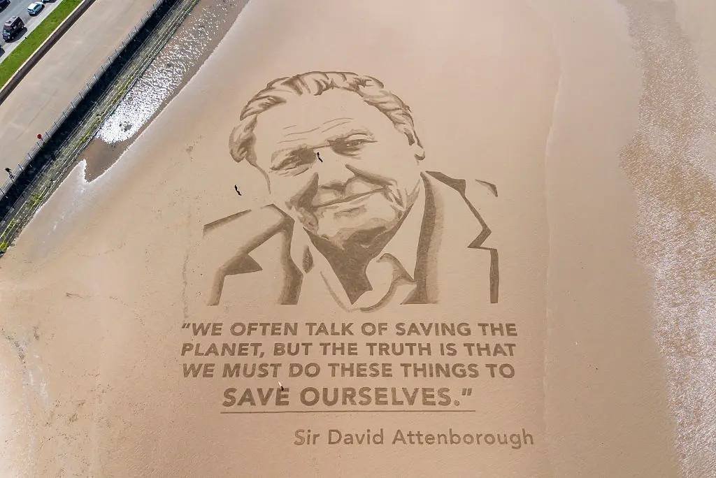 Sir Attenborough's birthday lead to tributes from around the world (Anthony Devlin/Stringer/Getty)