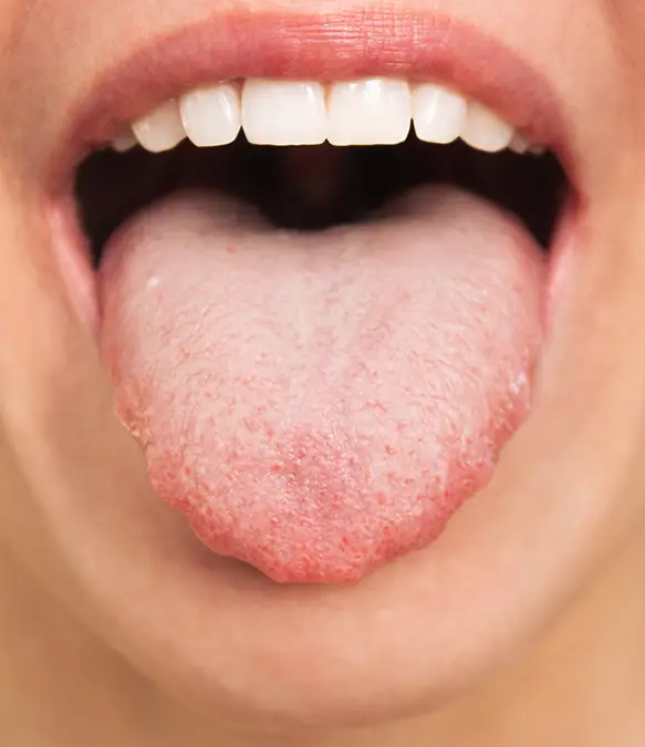 Westend61 / Olga Shefer / Getty