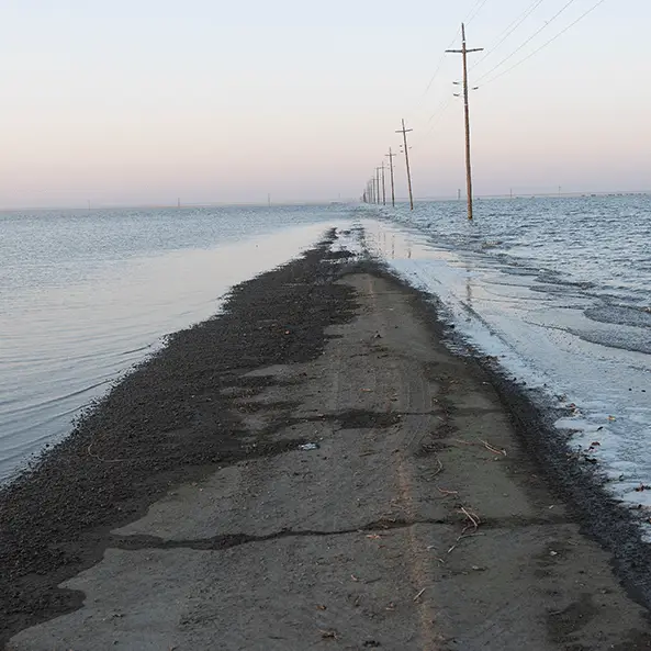 Andrew Lichtenstein / Contributor / Getty