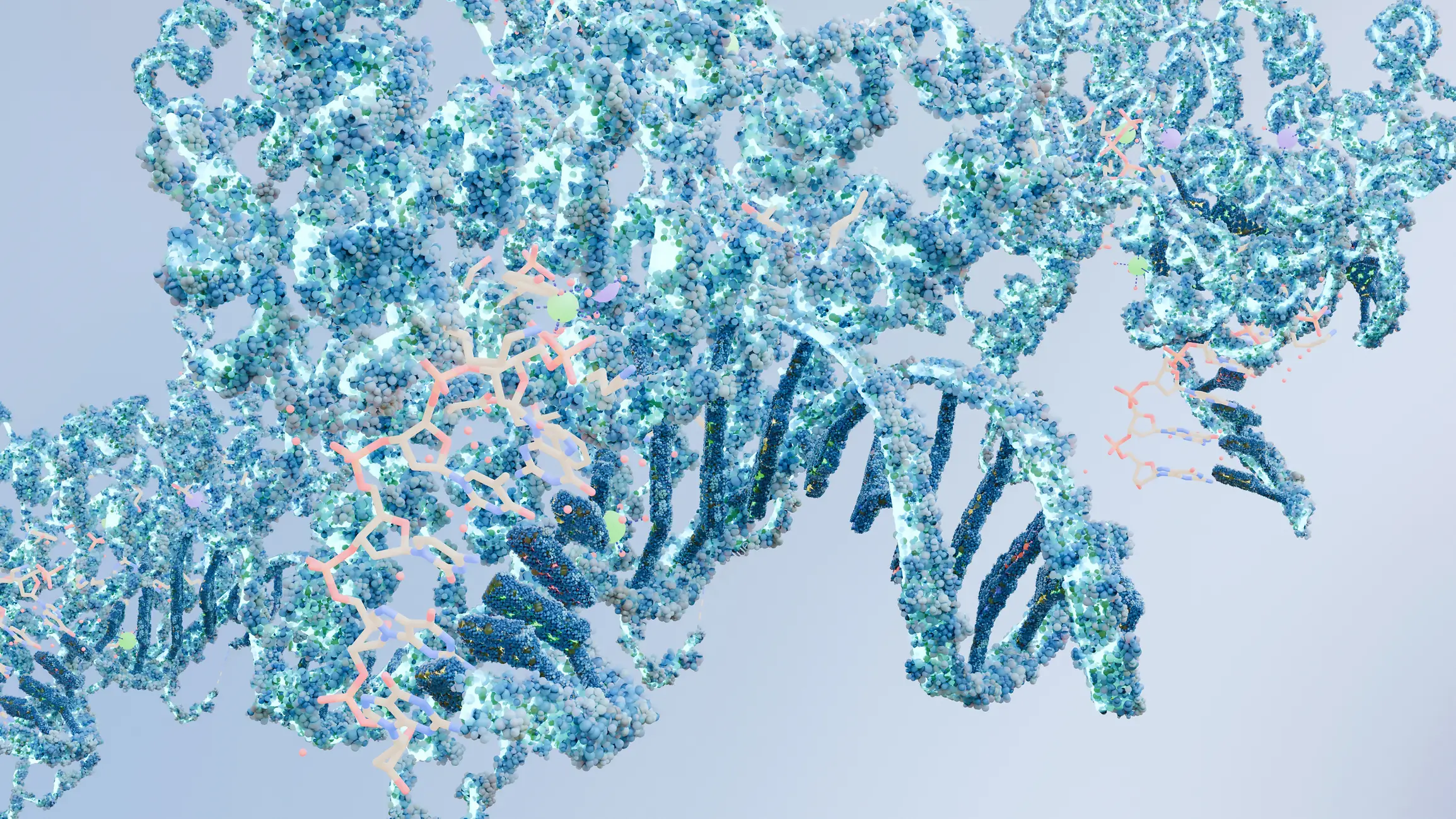 It stems from damage to the TP53 gene, which plays a key role in preventing the development of cancer (Getty Stock)