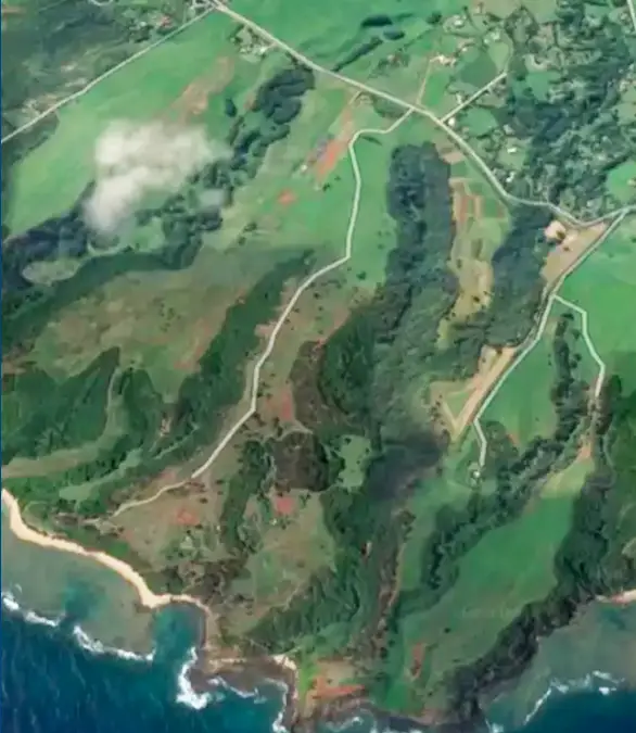 The compound's tree tops will allows guests to 'move freely around' / Google