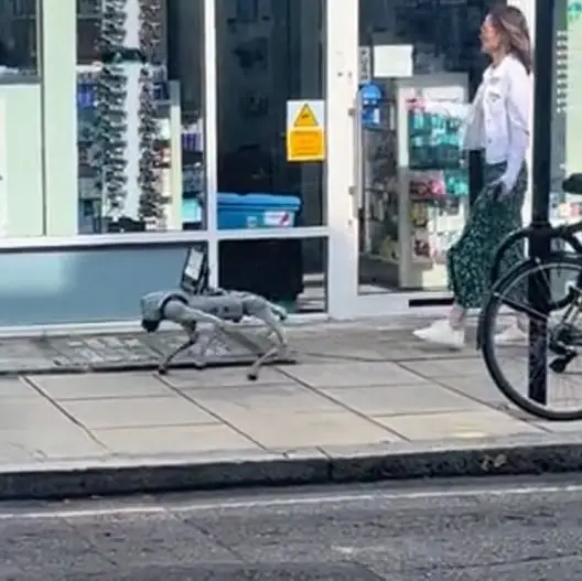 Dystopian footage of 'robo dog' walking the streets of London is being called 'the scariest thing ever' by viewers