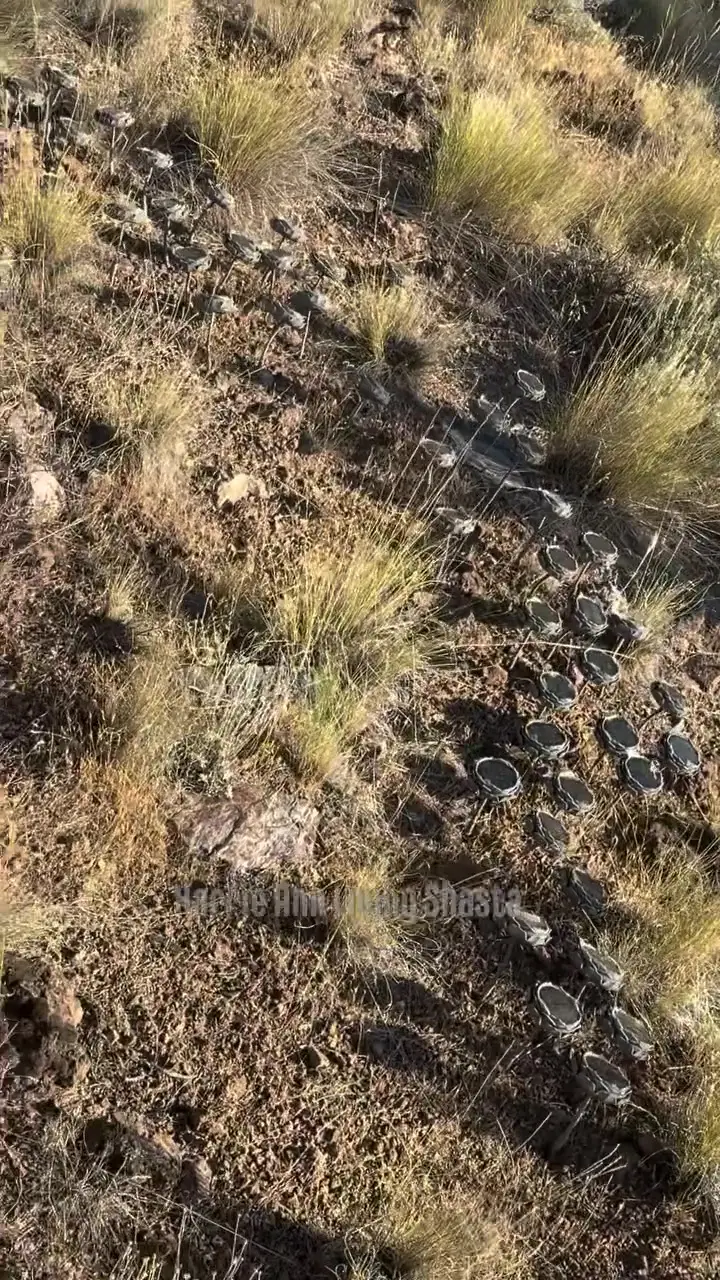 Snure estimated more than 100 devices were scattered across the hillside (Karrie Ann Living Shasta/Facebook)