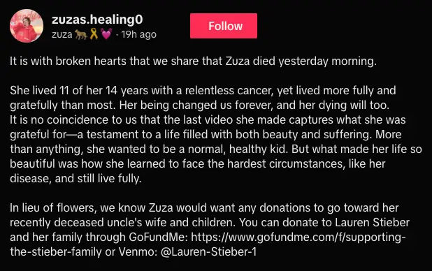 Zuza Beine's family released a statement following the tragic death of the 14-year-old social media star (TikTok/zuzas.healing0)