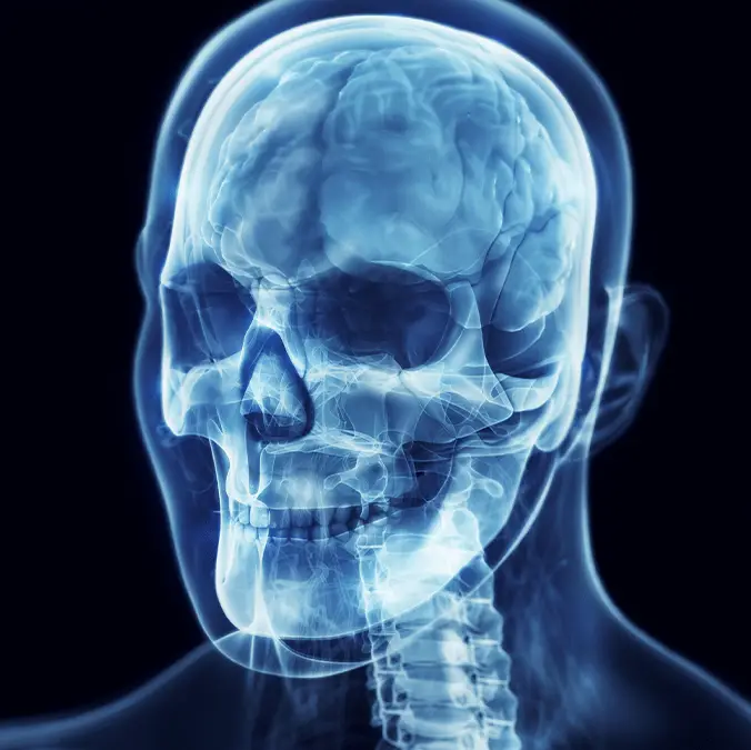 Yuichiro Chino via Getty