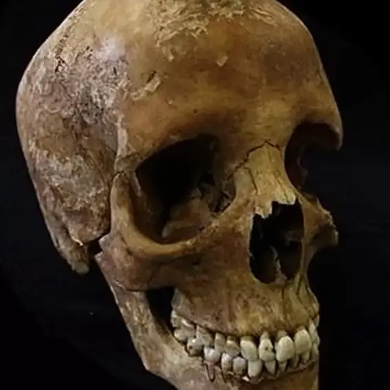 Peter Dazeley/Getty Images/University of Leicester