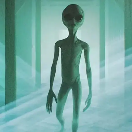 Ray Massey/gremlin/Getty Images