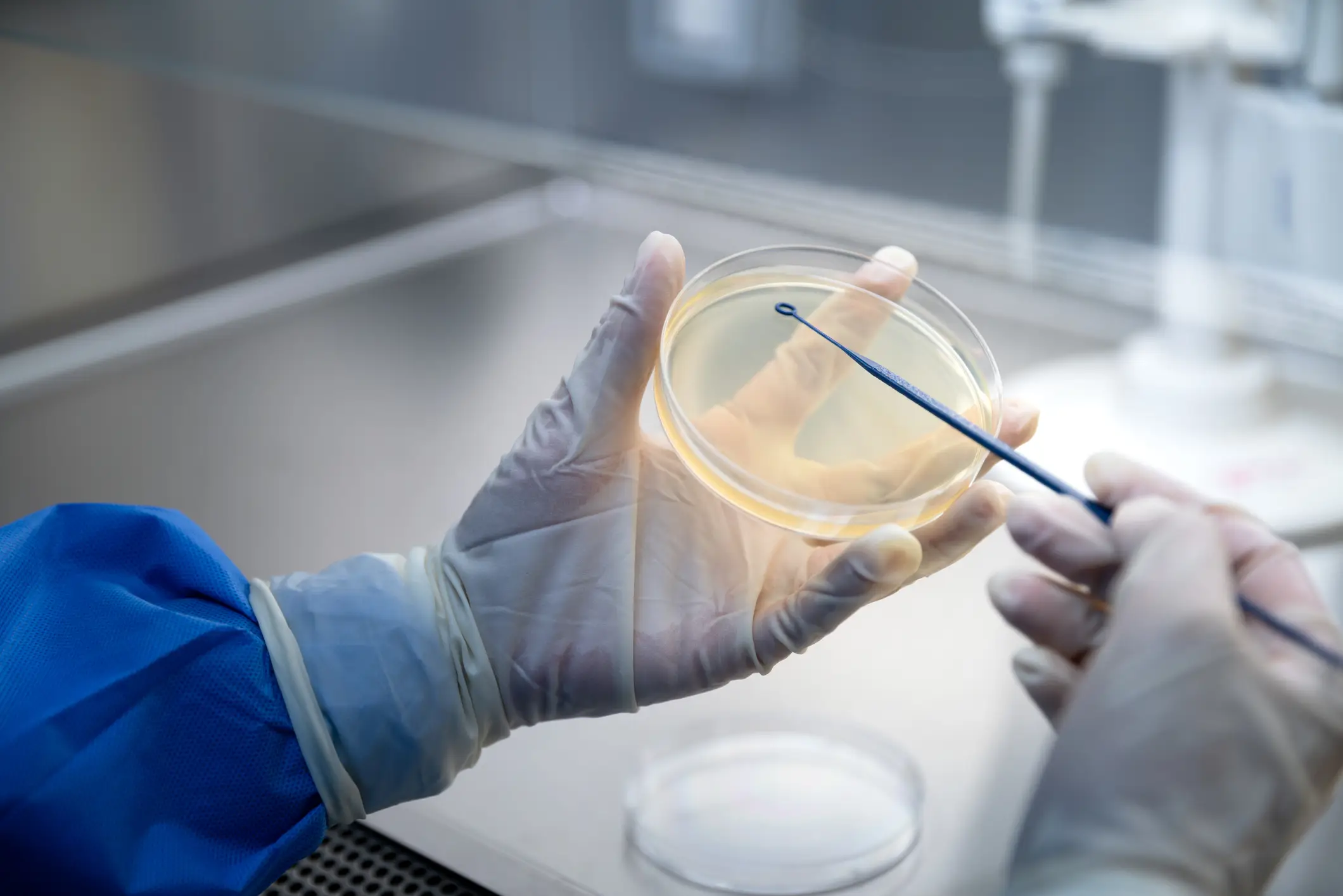 According to Johnson, ‘baby-bryan lives in a petri dish for now’ (Lu ShaoJi/Getty Images)