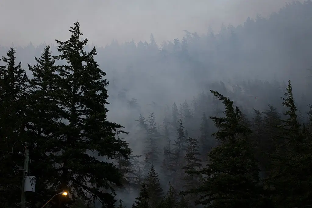 Toxic gases produced by wildfires in Canada have traveled significant distances and could cause harm (Nav Rahi/AFP via Getty Images)