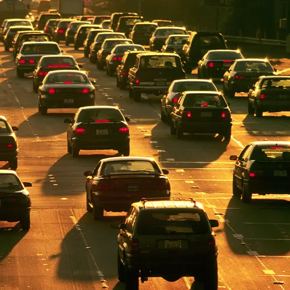 Robert Landau / Alexander Spatari / Getty