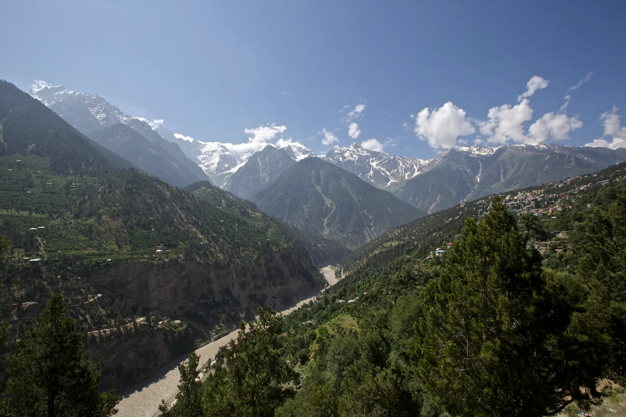 The research team were studying the Sutlej River in India (Connect Images/David Fettes/Getty Images)