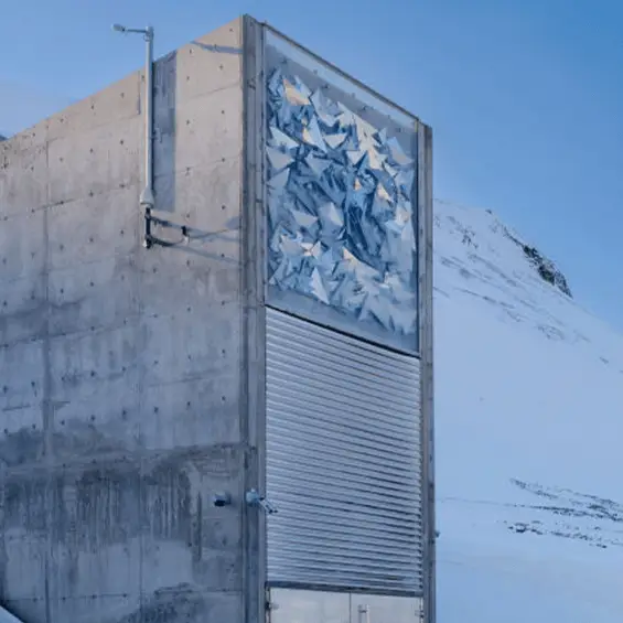 Martin Zwick/REDA/Universal Images Group via Getty Images / BBC