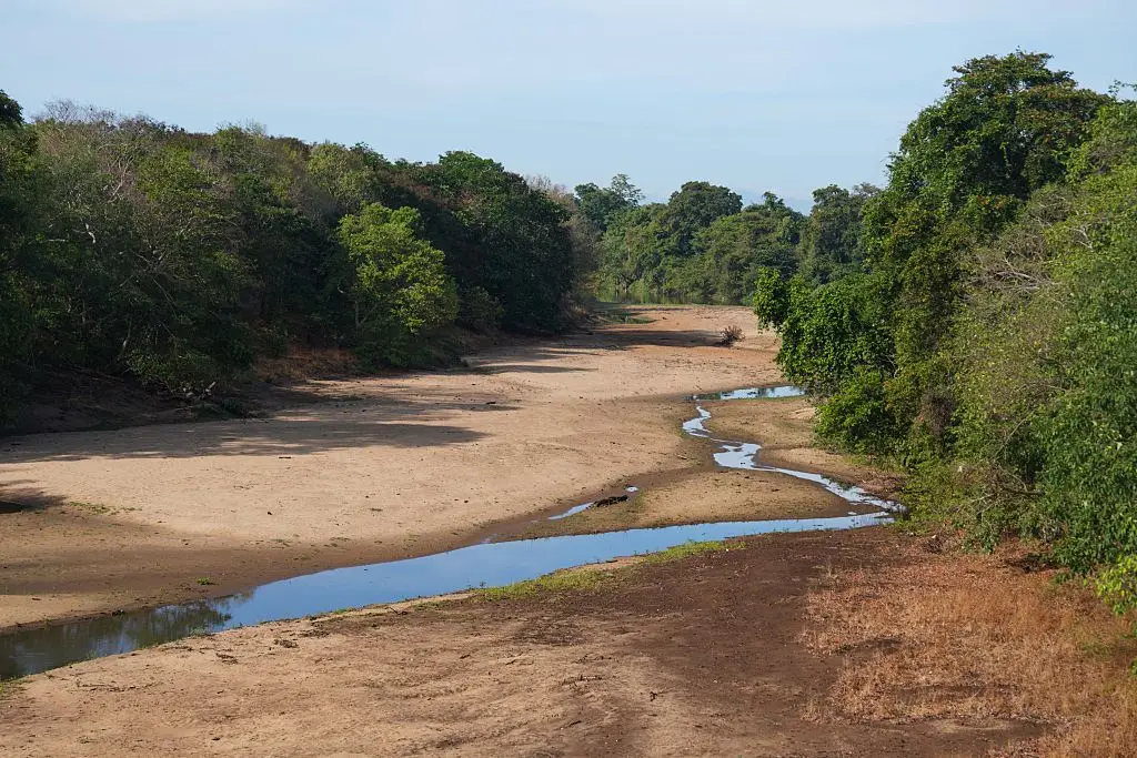 There has been a notable decline in freshwater in rivers for the past seven years (Thilina Kaluthotage/NurPhoto via Getty Images)