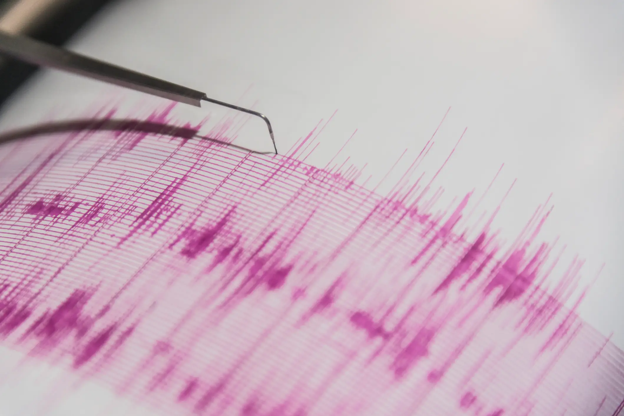 Tremors were felt across California, Oregon, and western Nevada (Gary S Chapman/Getty Images)