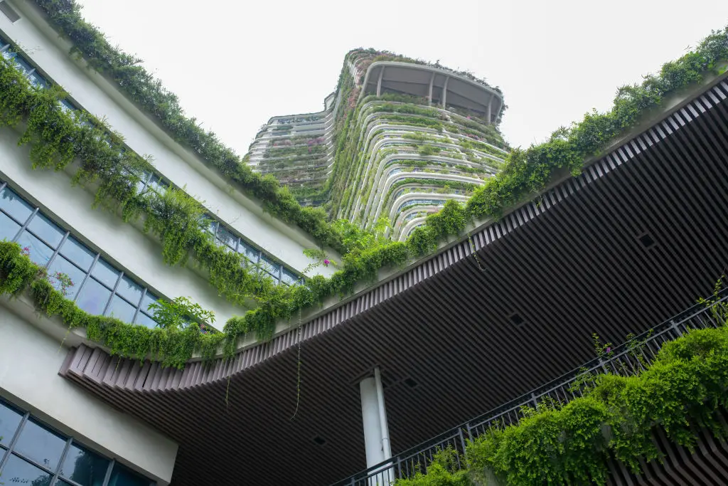 Forest City might look like a utopia at first glance, but the reality is far from that (Aparna Aparna Nori/Bloomberg via Getty Images)
