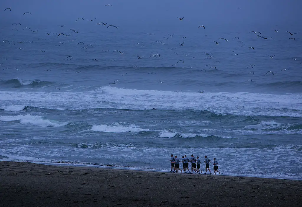 A long human bone with surgical hardware was discovered by a family on Salmon Creek Beach in 2022 (George Rose/Getty Images)