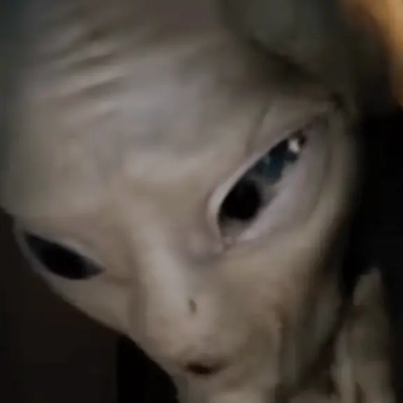 Crazy YouTube video shows what would happen if one million people actually stormed Area 51