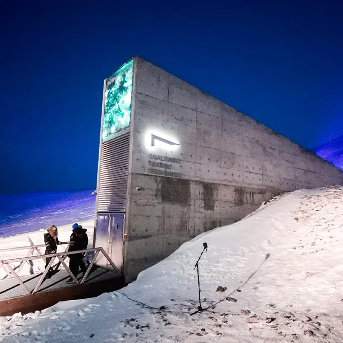 LISE ASERUD / Contributor / Getty