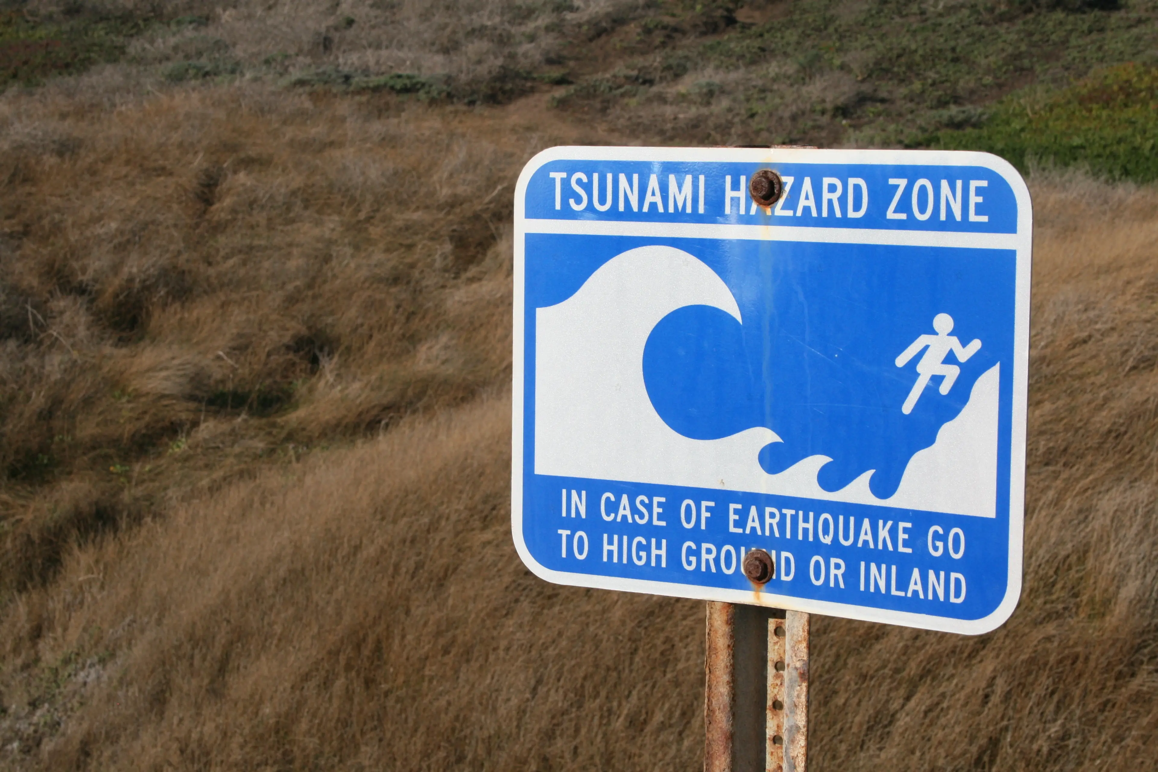 The US could suffer a devastating earthquake in the next 50 years (Tomsmith585/Getty Images)