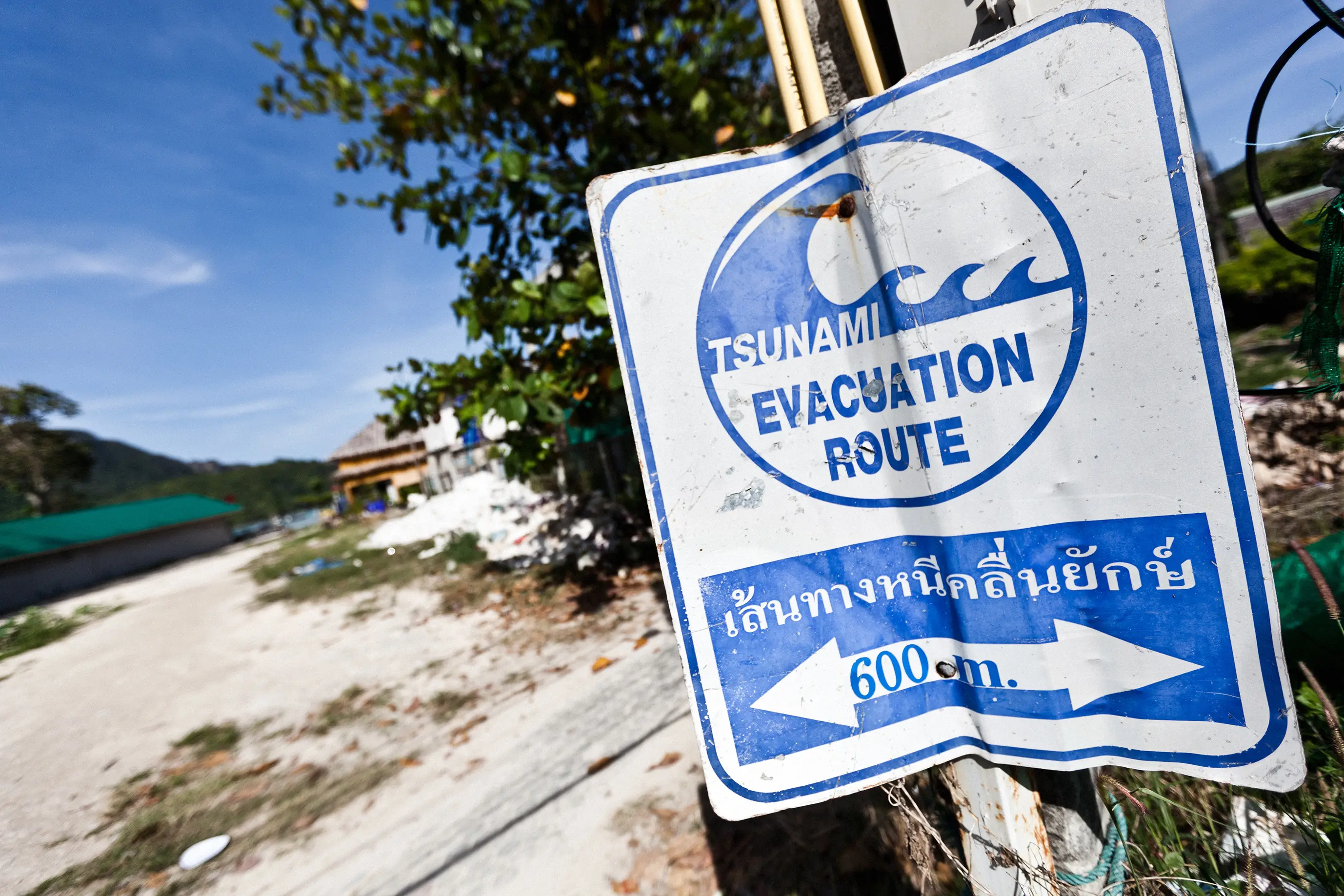 The tsunami killed 220,000 people (MoreISO/Getty Images)