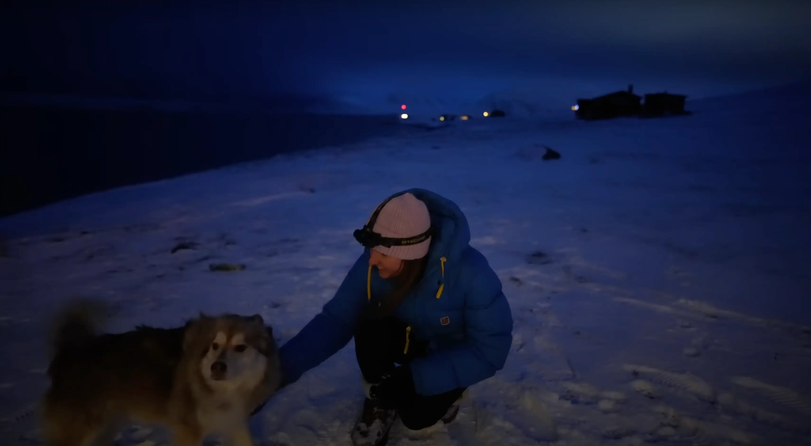 Cecilia Blomdahl plays with her pet Husky in complete darkness at 11am (YouTube/@CeciliaBlomdahl)