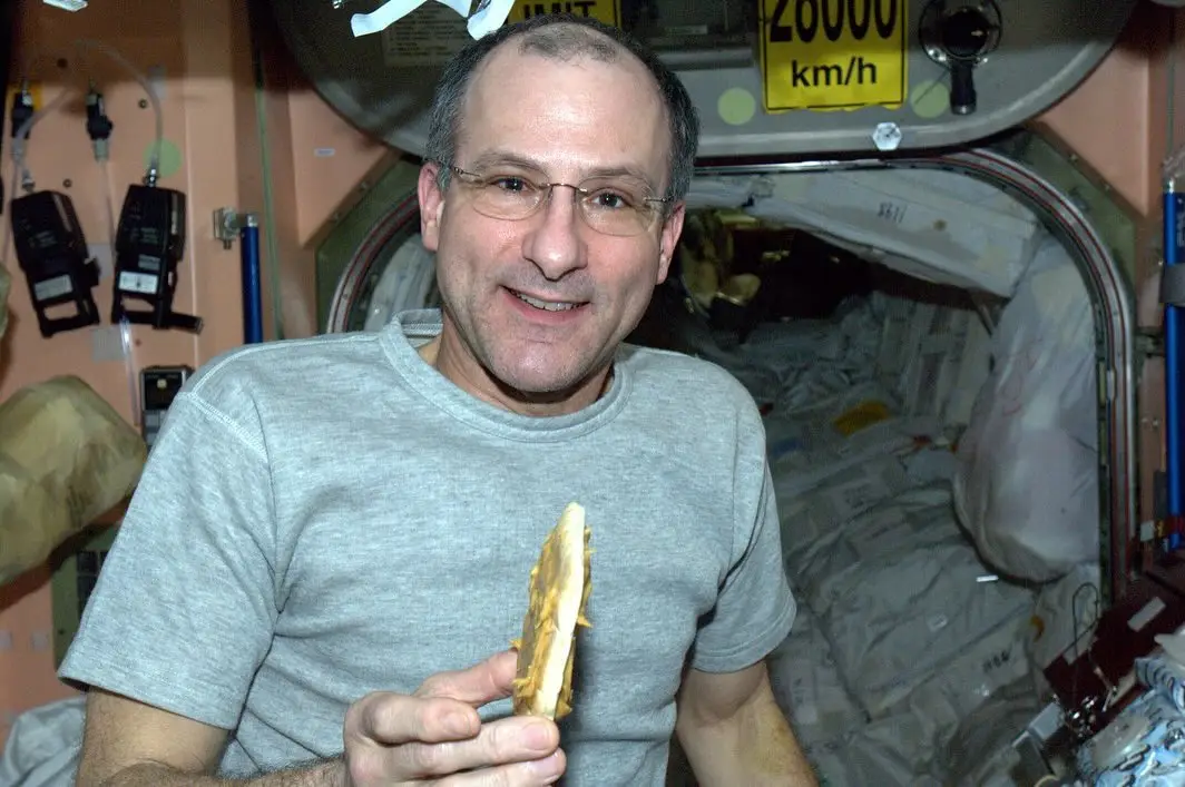 Astronaut Donald Pettit captured the rare image (Instagram/@astro_pettit)