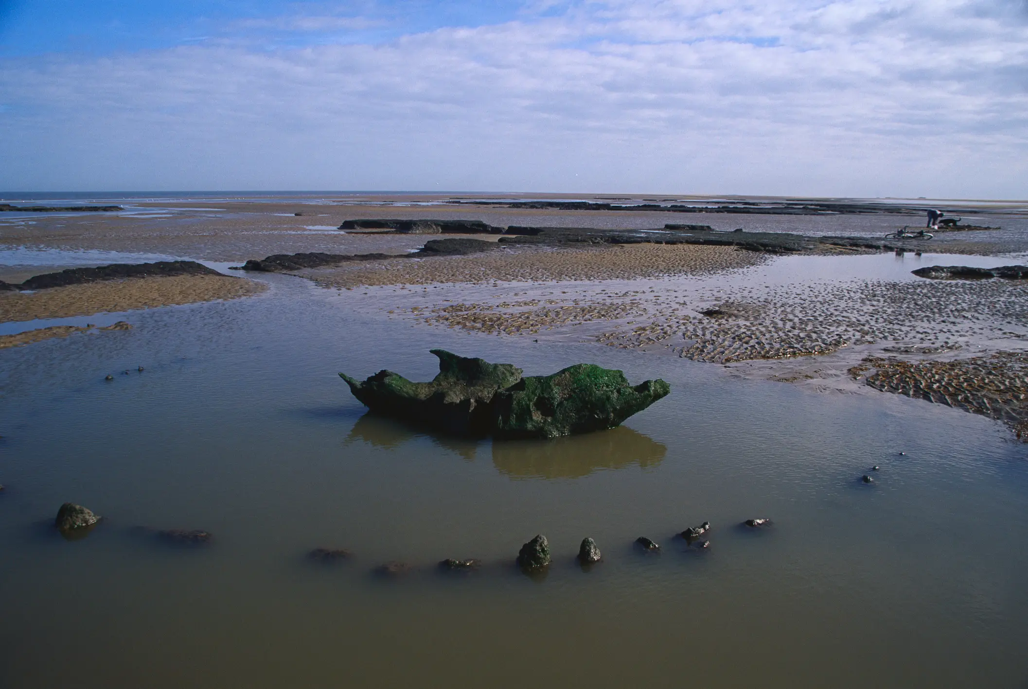 Roger Tidman / Getty